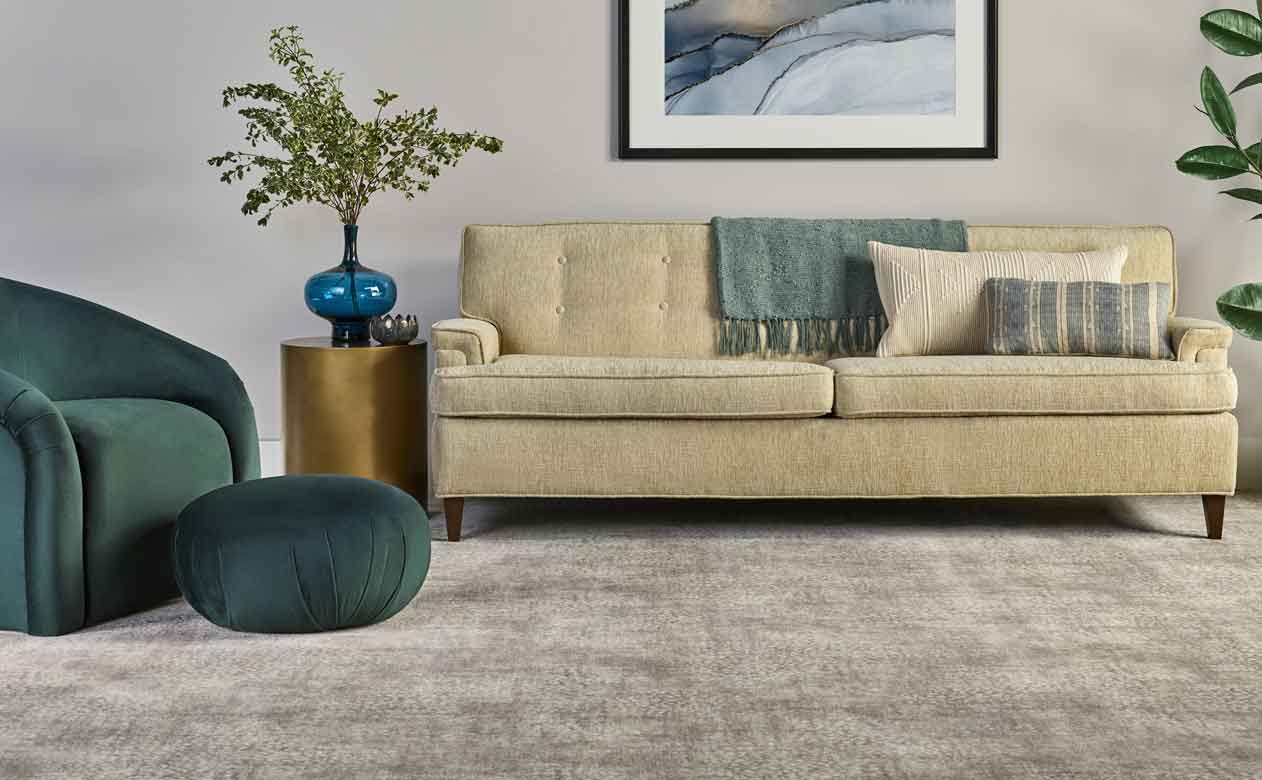 living room with soft grey carpet 